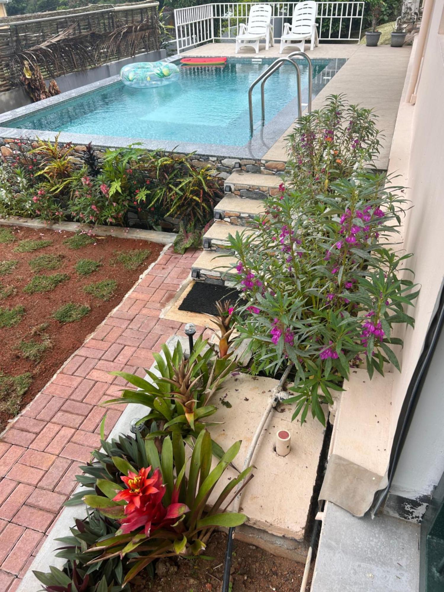The Olive Tree Appartement